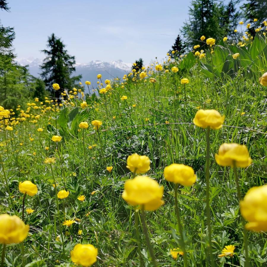 Apartment 32 Crans-Montana Zewnętrze zdjęcie